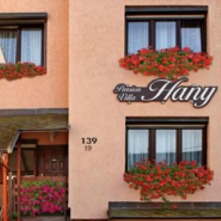 Pension Villa Hany Marianske Lazne Exterior photo