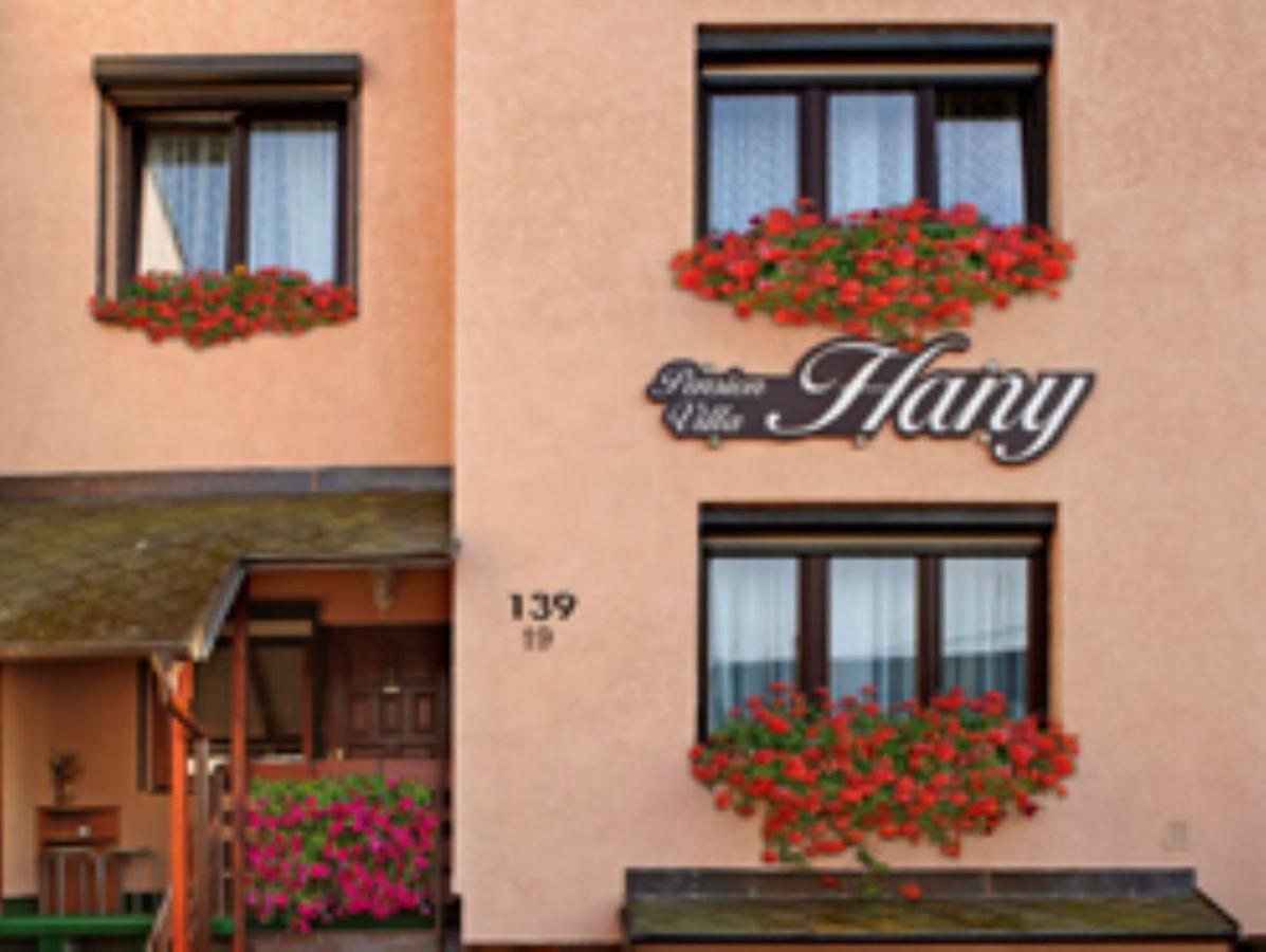 Pension Villa Hany Marianske Lazne Exterior photo