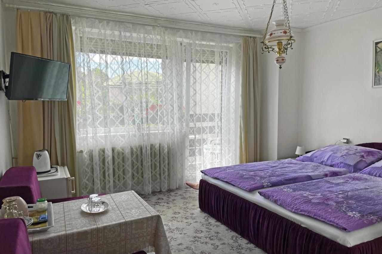 Pension Villa Hany Marianske Lazne Exterior photo
