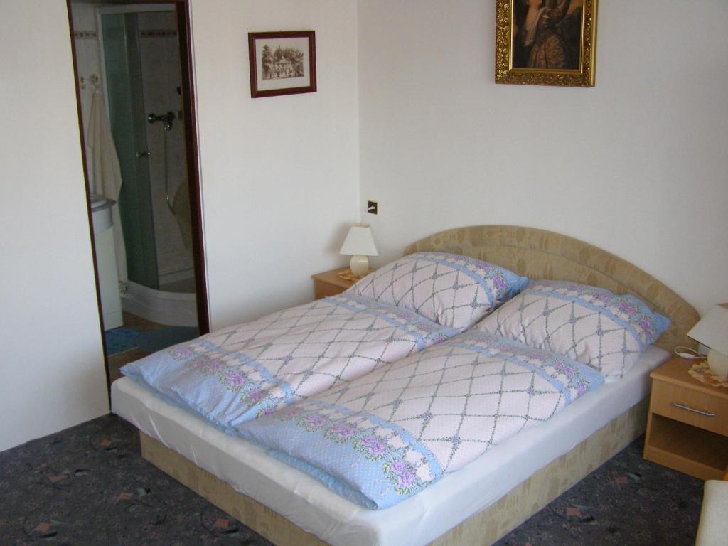 Pension Villa Hany Marianske Lazne Room photo